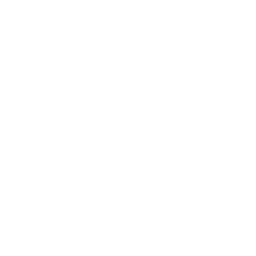Coin Toss — Uncommon Emote