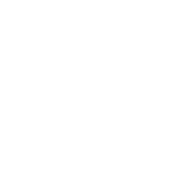 Slone's Code — Uncommon Emote