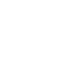Engine Adjuster — Uncommon Emote