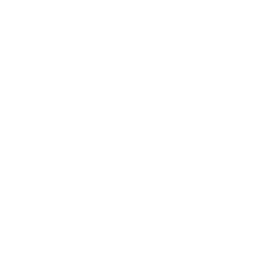 Gauntlet Greeting — Uncommon Emote