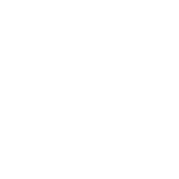 Guardian's Parade — Uncommon Emote