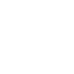 Order's Flourish — Uncommon Emote