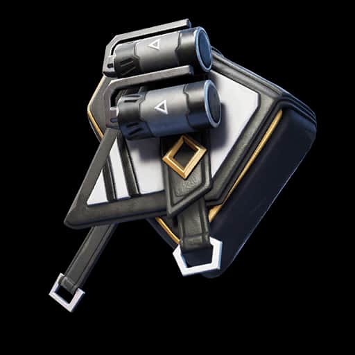 Black Stripe — Rare Back Bling