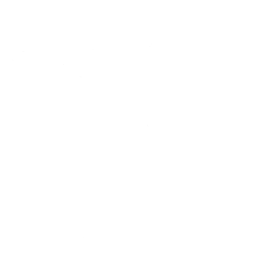Jedi Training — Epic Emote