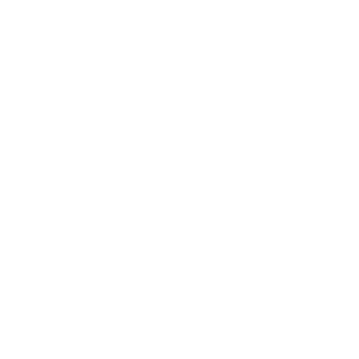 Coin Flip — Uncommon Emote