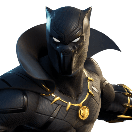 Black Panther — Epic Outfit