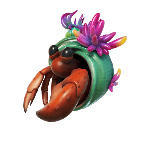 Shelly — Rare Back Bling