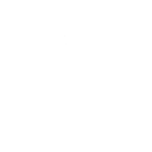 Bag of Essentials — Epic Emote