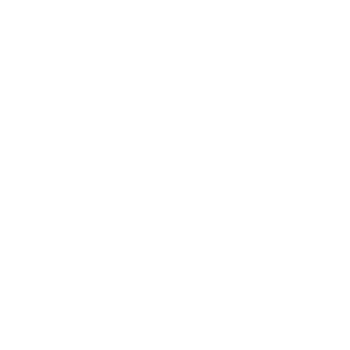 Segway Tour — Rare Emote
