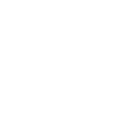 The Airplane — Rare Emote