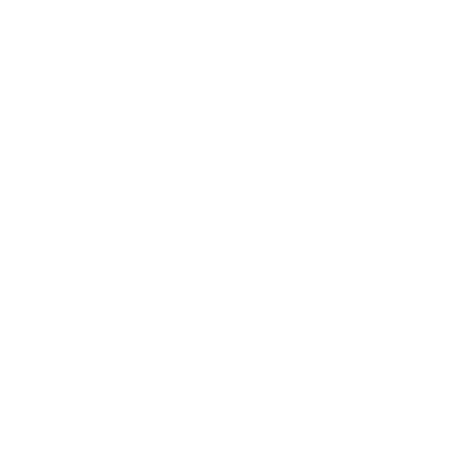Balance Board — Rare Emote