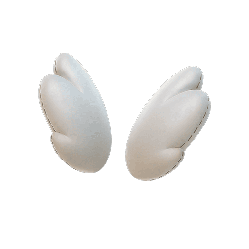 Winter's Wings — Rare Back Bling