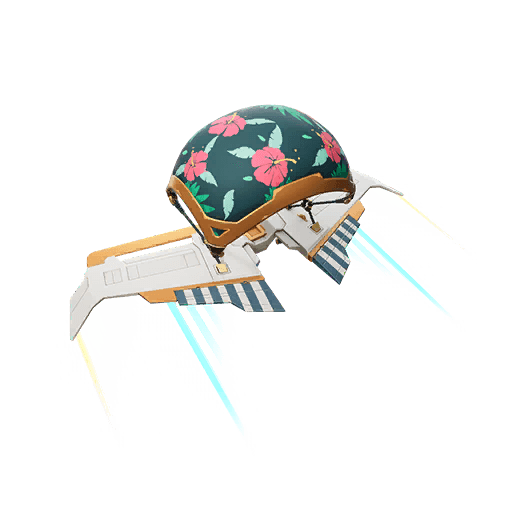 Beach Breezer — Rare Glider