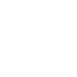 Point & Shoot — Rare Emote
