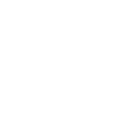 Point & Shoot — Rare Emote