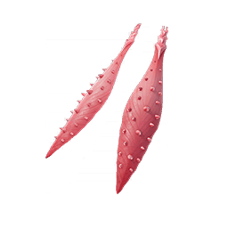 Poison Petals — Rare Back Bling