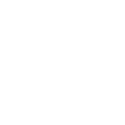 Boy's a Liar — Rare Emote