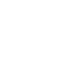 Boy's a Liar — Rare Emote