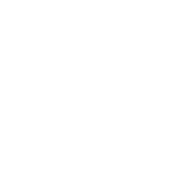 Wind Up — Rare Emote