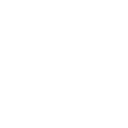 Lil' T-6 Shuttle — Epic Emote