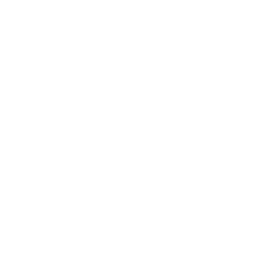 Scootin' Circles — Rare Emote