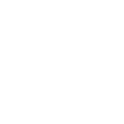 Everburn — Legendary Emote