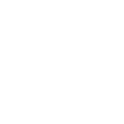 Dancin' Domino — Rare Emote