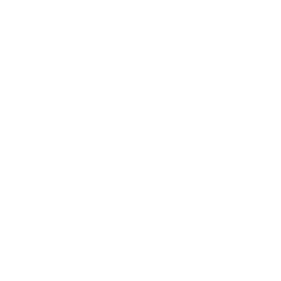Go With the Flow — Epic Emote