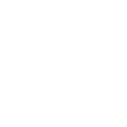 Ninja Stance: Leo — Rare Emote