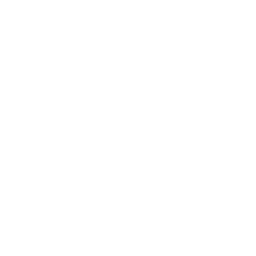 Ninja Stance: Donnie — Rare Emote