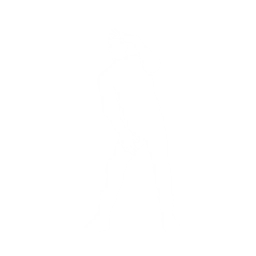 Show Ya — Rare Emote