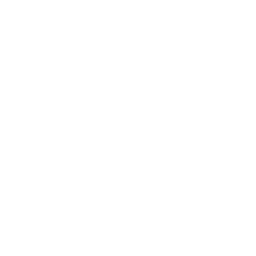 Lil' Turtle Van — Rare Emote