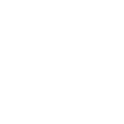 Moonlit Mystery — Rare Emote