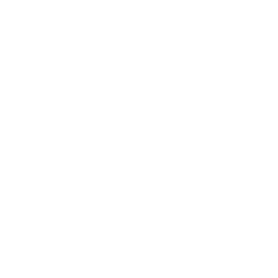 Rebellious — Rare Emote