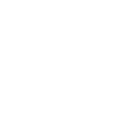 Sonic Surfer — Rare Emote