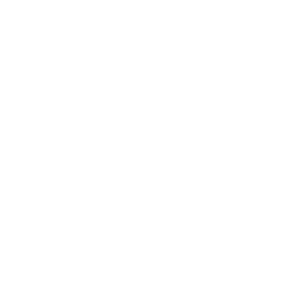 you should see me in a crown — Uncommon Emote