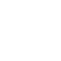 Lil' Supercar — Uncommon Emote