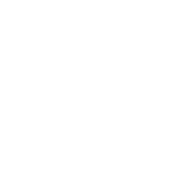 Spinback — Epic Emote