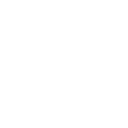 Mischief Flip — Uncommon Emote