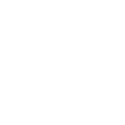 Snapshot Swagger — Uncommon Emote