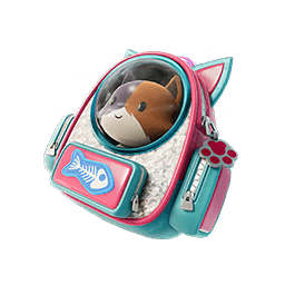 Katalina's Kit Bag — Rare Back Bling