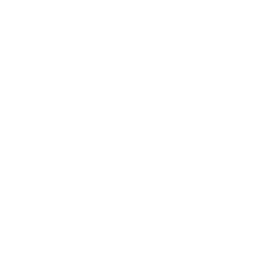 Wasteland Rock — Uncommon Emote