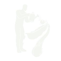 Pea Part Harmony — Uncommon Emote