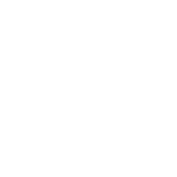Company Jig — Uncommon Emote