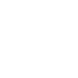 Drum Roll — Common Emote