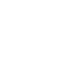 Parade Riffs — Common Emote