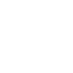 Roundhouse — Common Emote