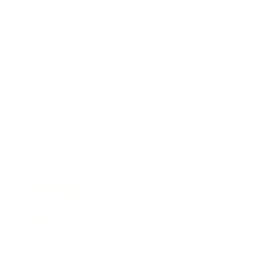 Sparrow Run — Uncommon Emote