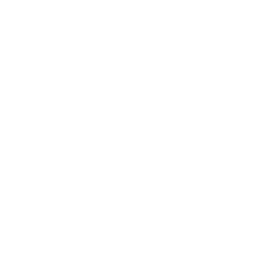The Snowblower — Rare Emote