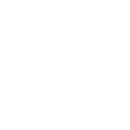 Vanguard's Charge — Uncommon Emote